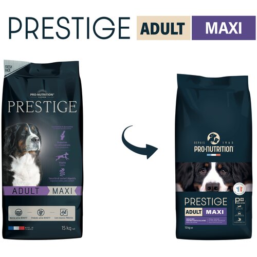 Flatazor Prestige ADULT Maxi