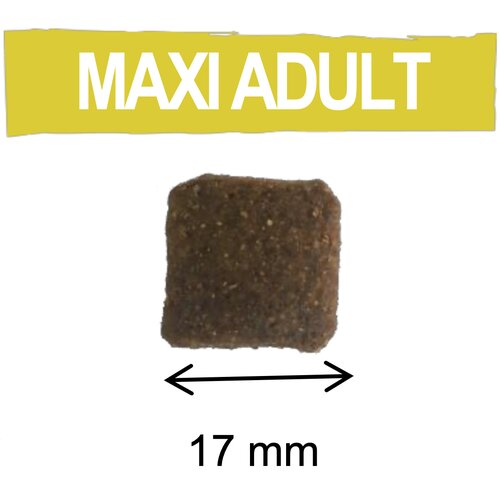 Flatazor Pure Life ADULT Maxi